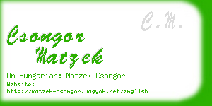 csongor matzek business card